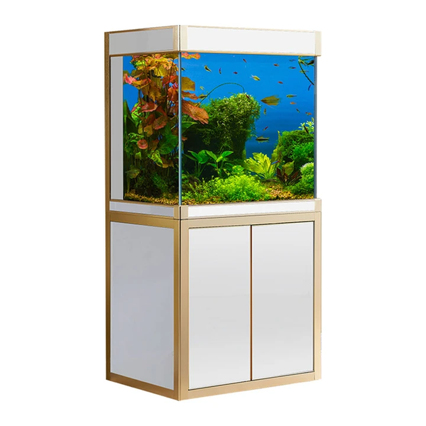 Bể cá bể cá ADBể cá bể cá AD  