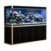 AquaDream 360 Gallon Black & Gold Aquarium (AD-2310-BK)