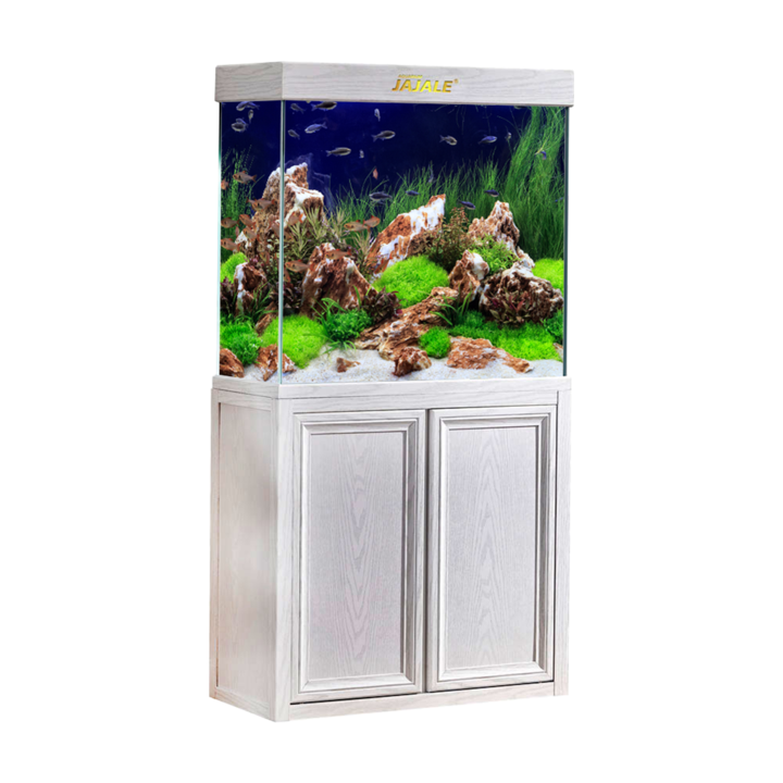 50 Gallon Fish Tanks